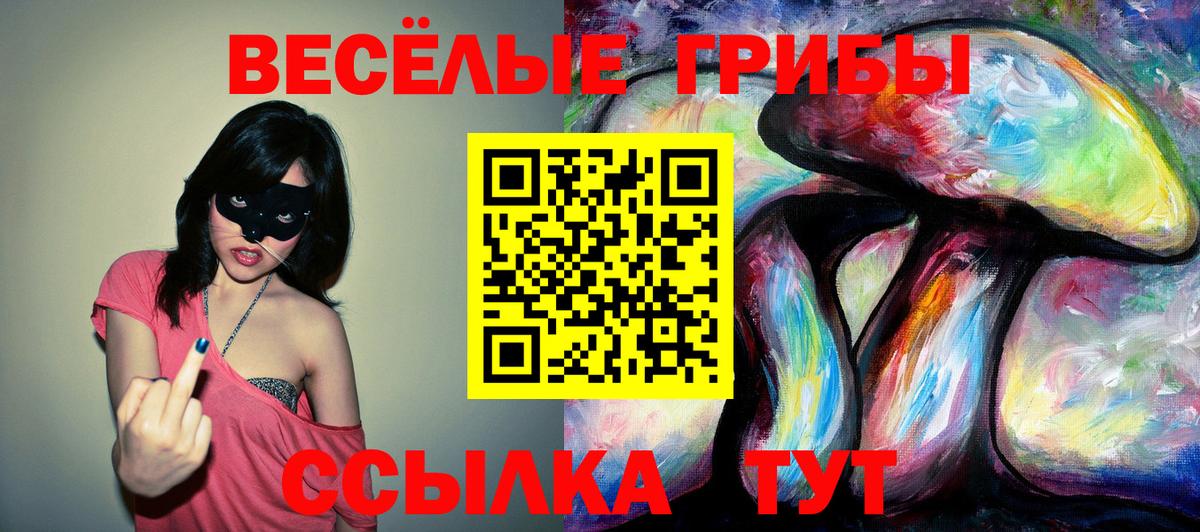 Псилоцибиновые грибы GOLDEN TEACHER Гатчина